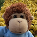 Bob T. Monkey